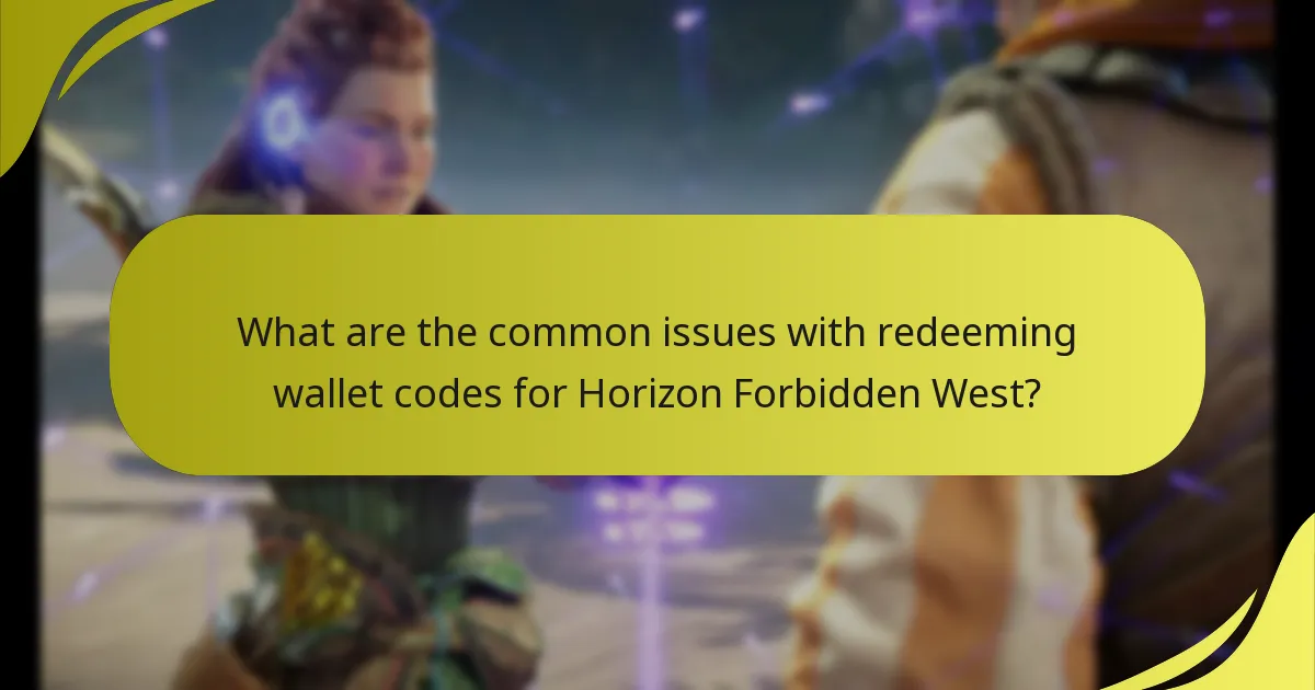 Where can I find support options for wallet code issues?
